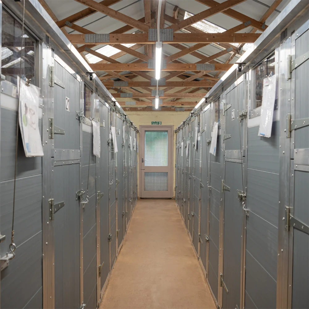 Clean central corridor of the kennel block at our Southwell boarding kennels